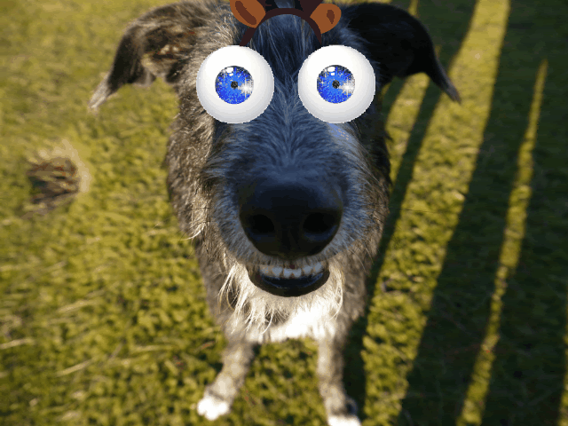 newcamera148-1.gif