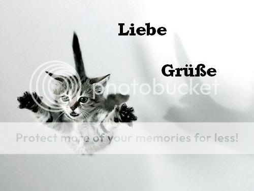 ext. Bild