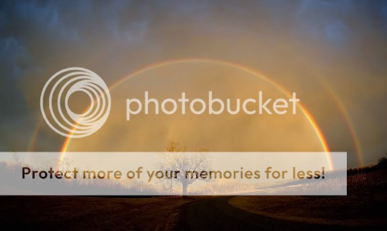 rainbows Pictures, Images and Photos