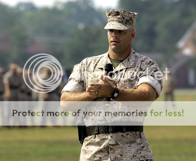 re: Happy Veterans Day!