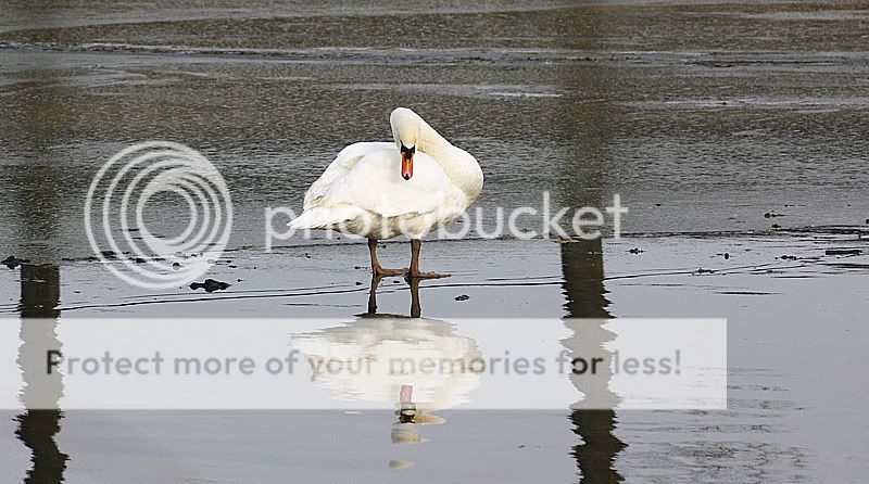 Fotografie