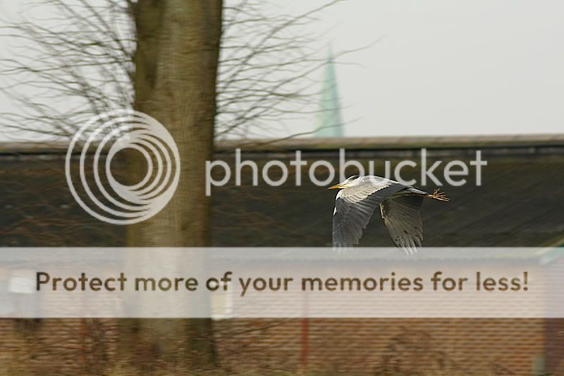 Fotografie