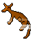 EKangaroo-2.png