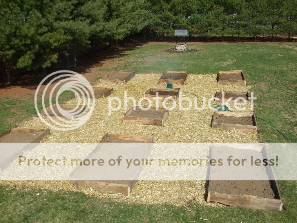 Square Foot Gardening Thread | BackYard Chickens - Learn How to Raise