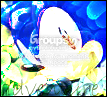 Sonic Icon 1- Adventure