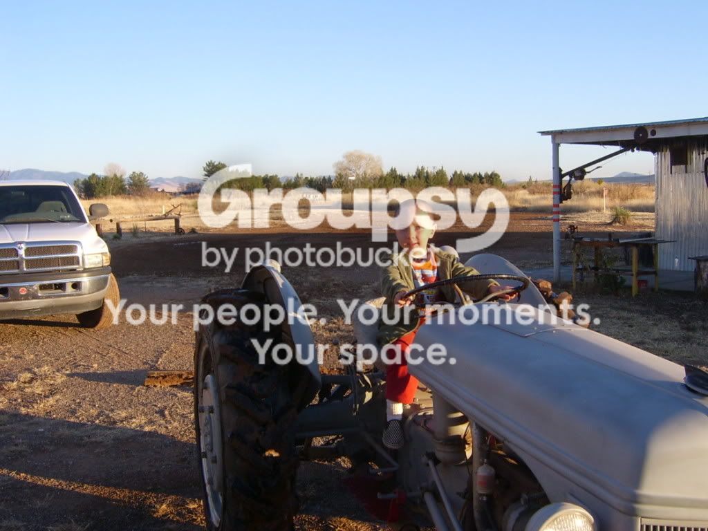 ALLPICTURESFROMCAMERA173.jpg