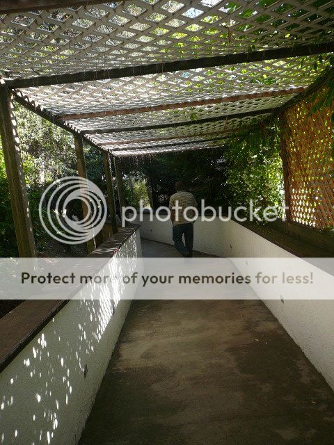 P1040259