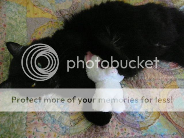 Photobucket