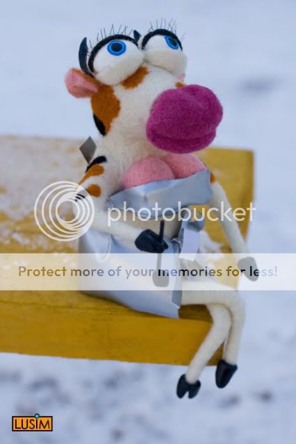 Photobucket
