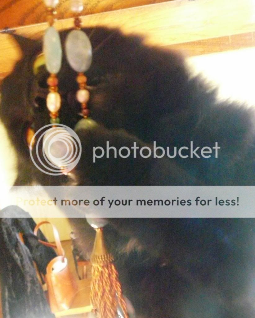 photo cbc557af-fb8c-4245-8f08-8ca92e0f43b9_zps6b9521b7.jpg