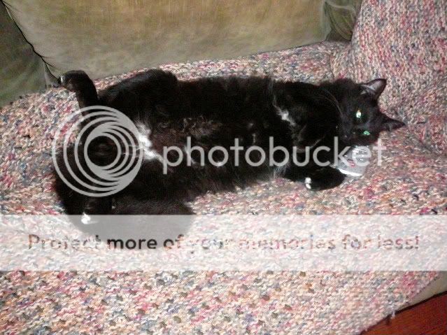 Photobucket