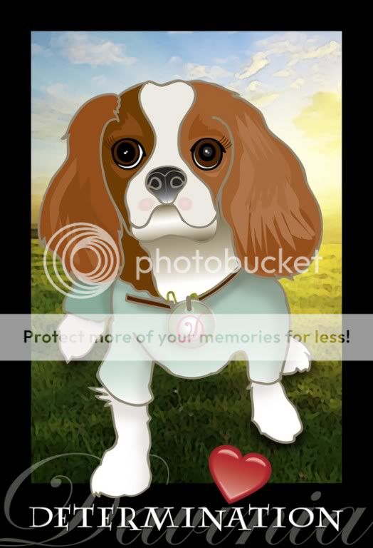 Dog s Cool Blog 06 26 16